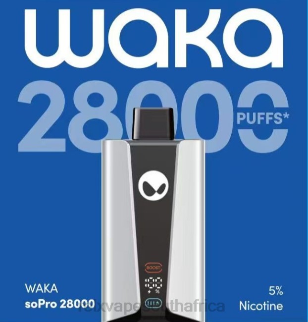 RELX Vape South Africa - RELX WAKA SoPro 28000 Multi Flavor 42N231